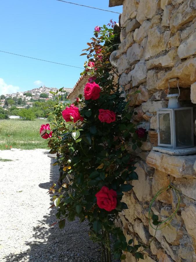 La Ferme Constantin * Fayence