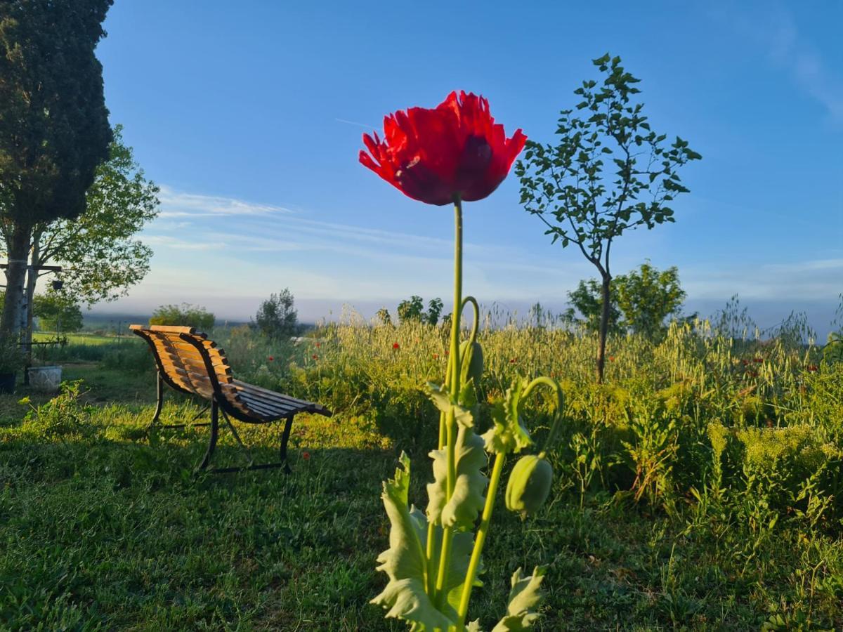 Farm stay La Ferme Constantin