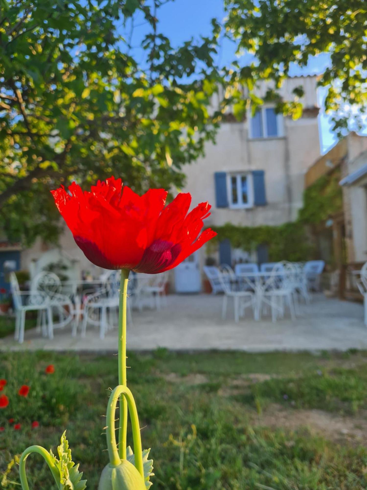 La Ferme Constantin * Fayence