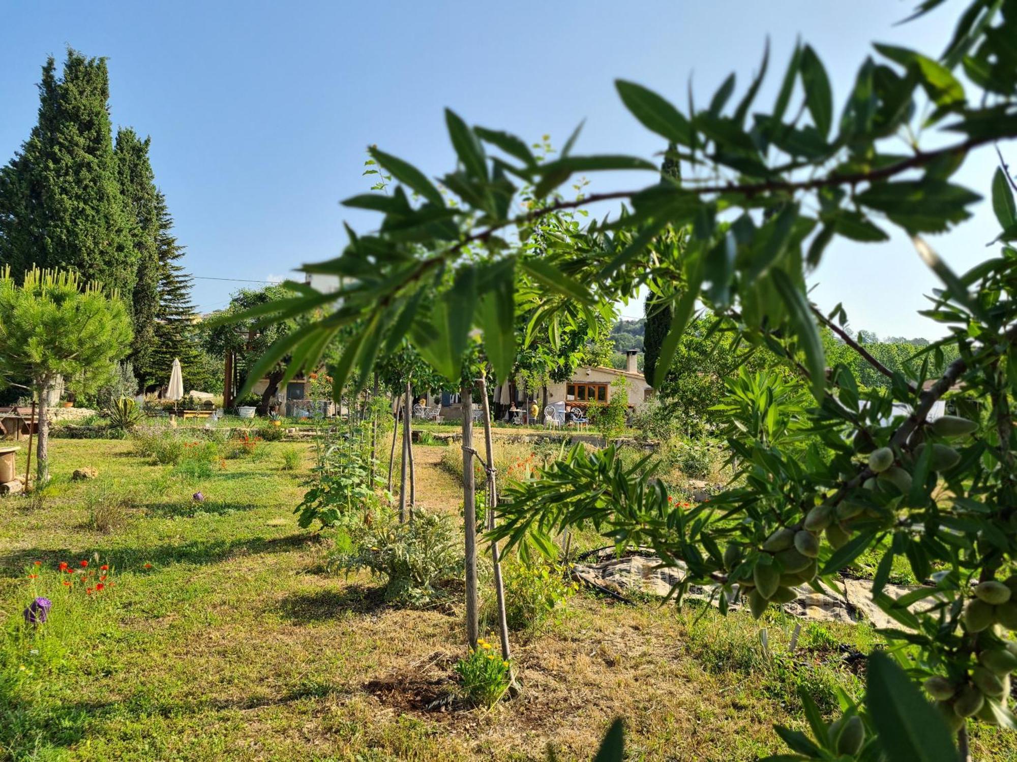 La Ferme Constantin Séjour à la ferme Fayence