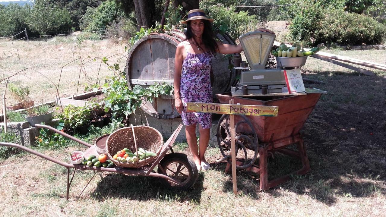 La Ferme Constantin