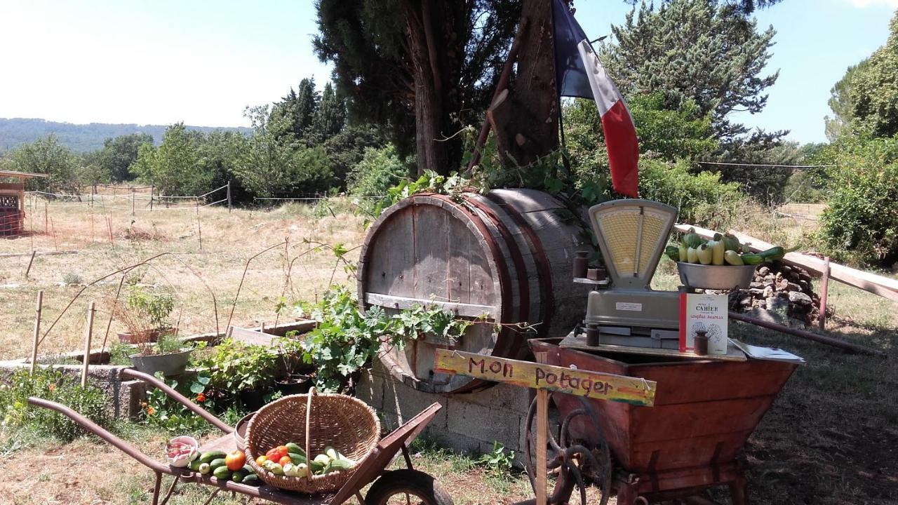 La Ferme Constantin Séjour à la ferme Fayence